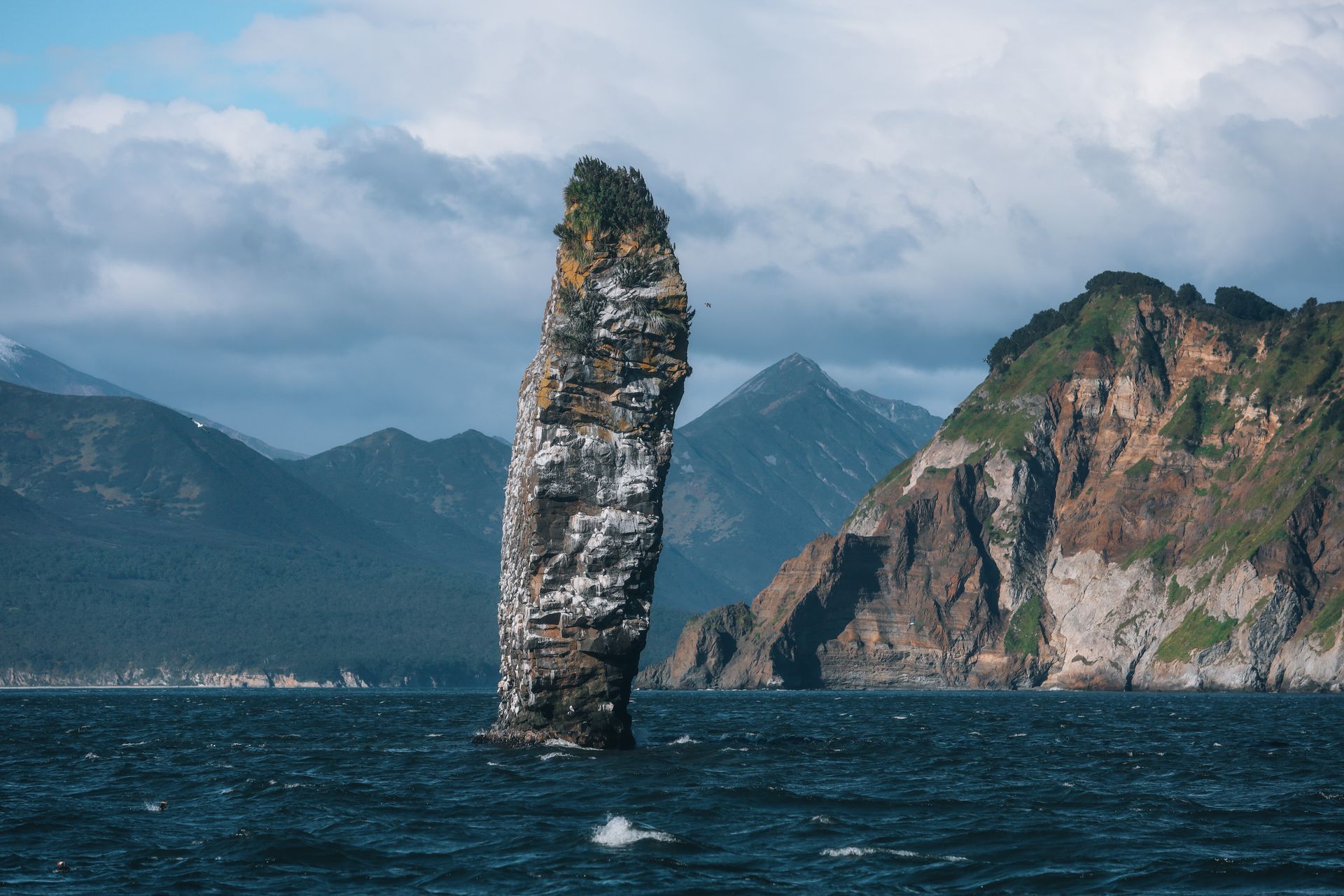 Морское сафари с китами и косатками, авторский тур