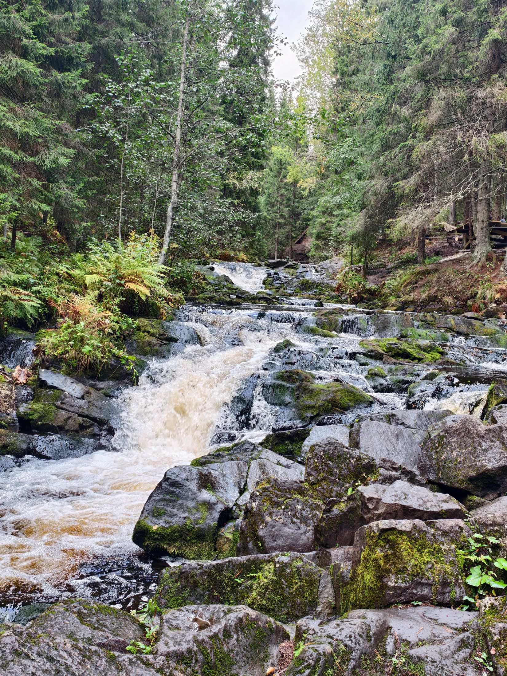 Парк Рускеала, водопады Ахвенкоски и гора Паасо, авторский тур