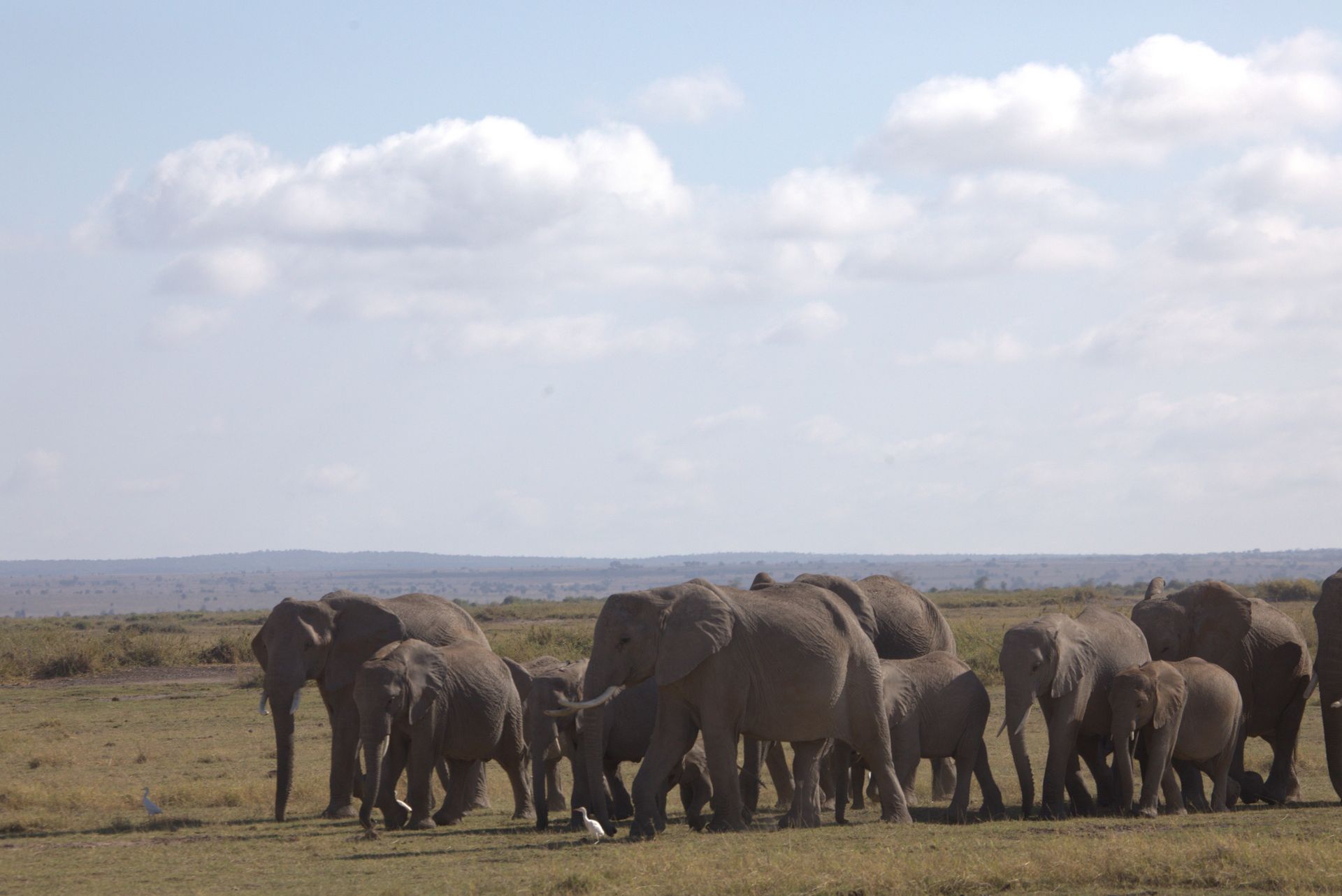 Nairobi – Amboseli National Park, Кения, авторский тур