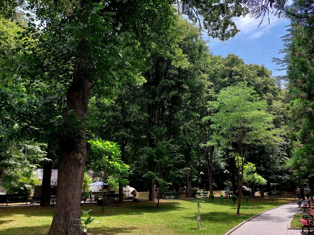 Центральный парк Боржоми летом