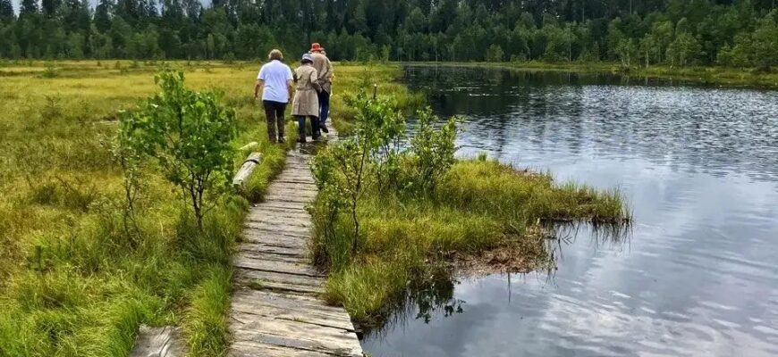 Звенигородский заказник и карьер Сима. Однодневный поход в Подмосковье