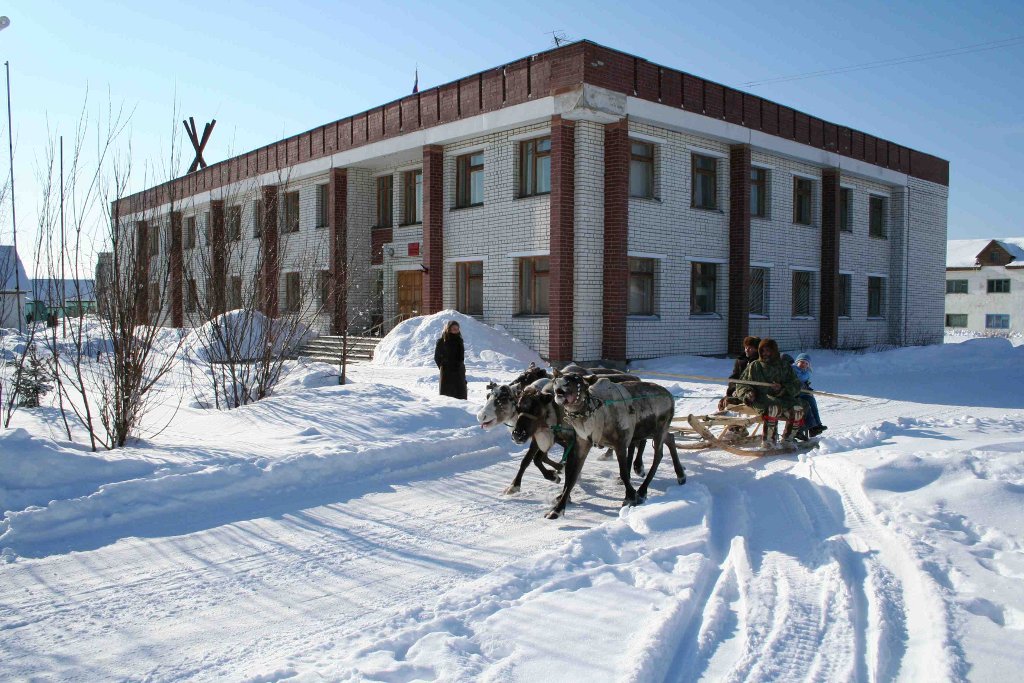 Оленья упряжка в селе Ловозеро