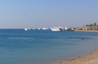 Горящих туров не ждите: сколько стоят 7 ночей на море в Новый год