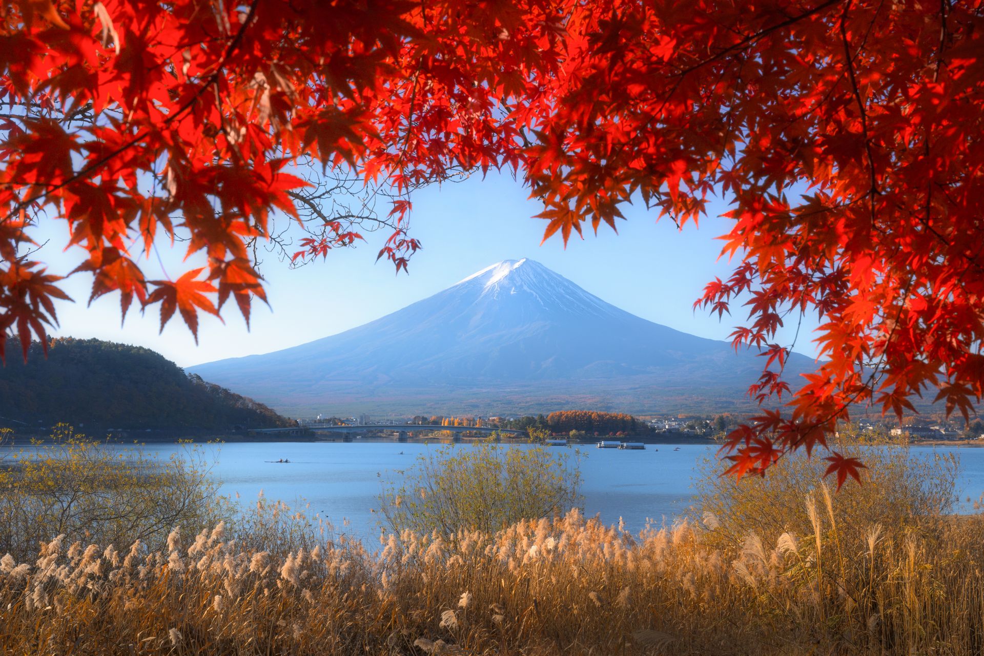 Токио, авторский тур Токио, авторский тур