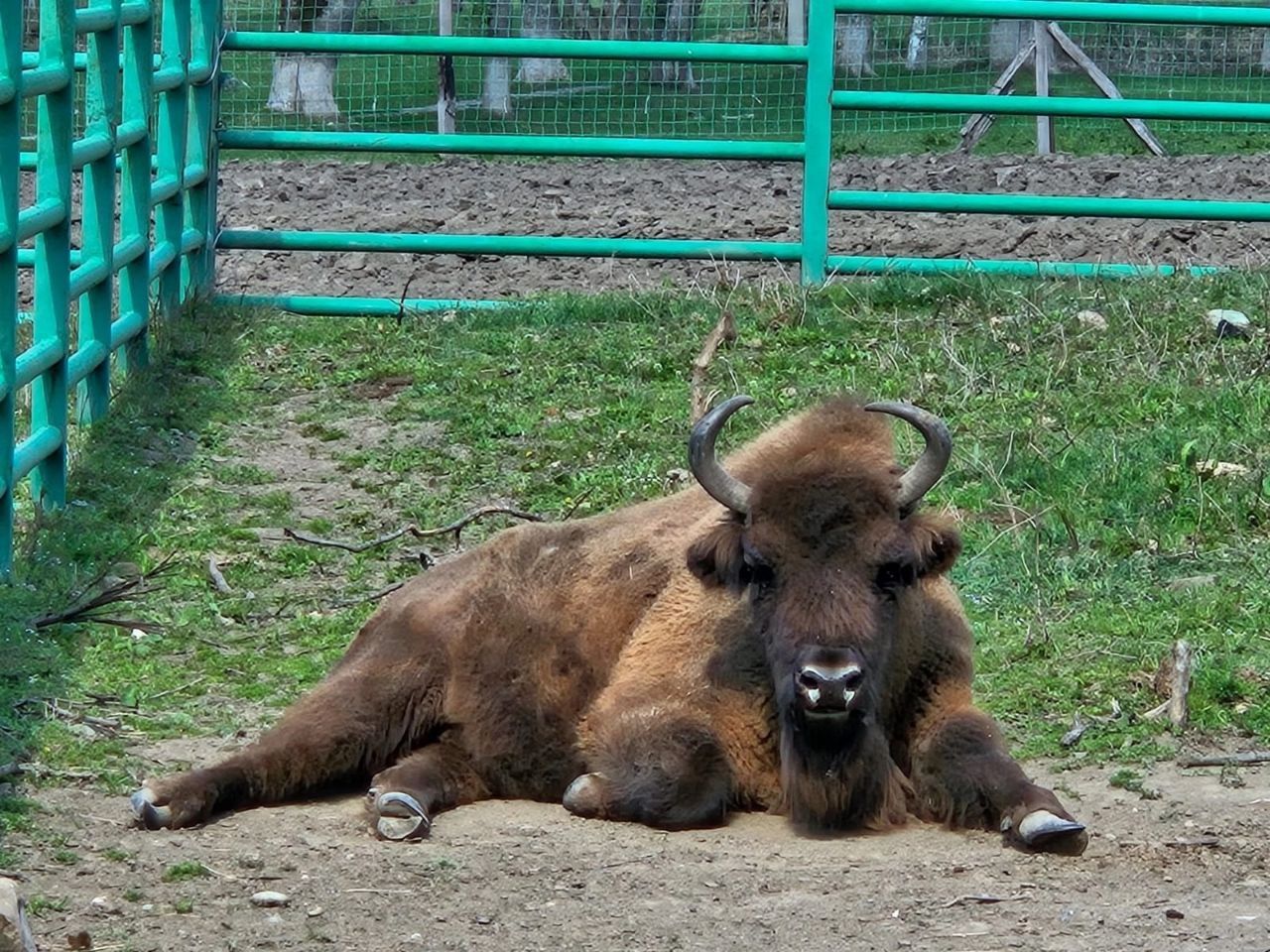 Заповедный мир, Адыгея Заповедный мир, Адыгея