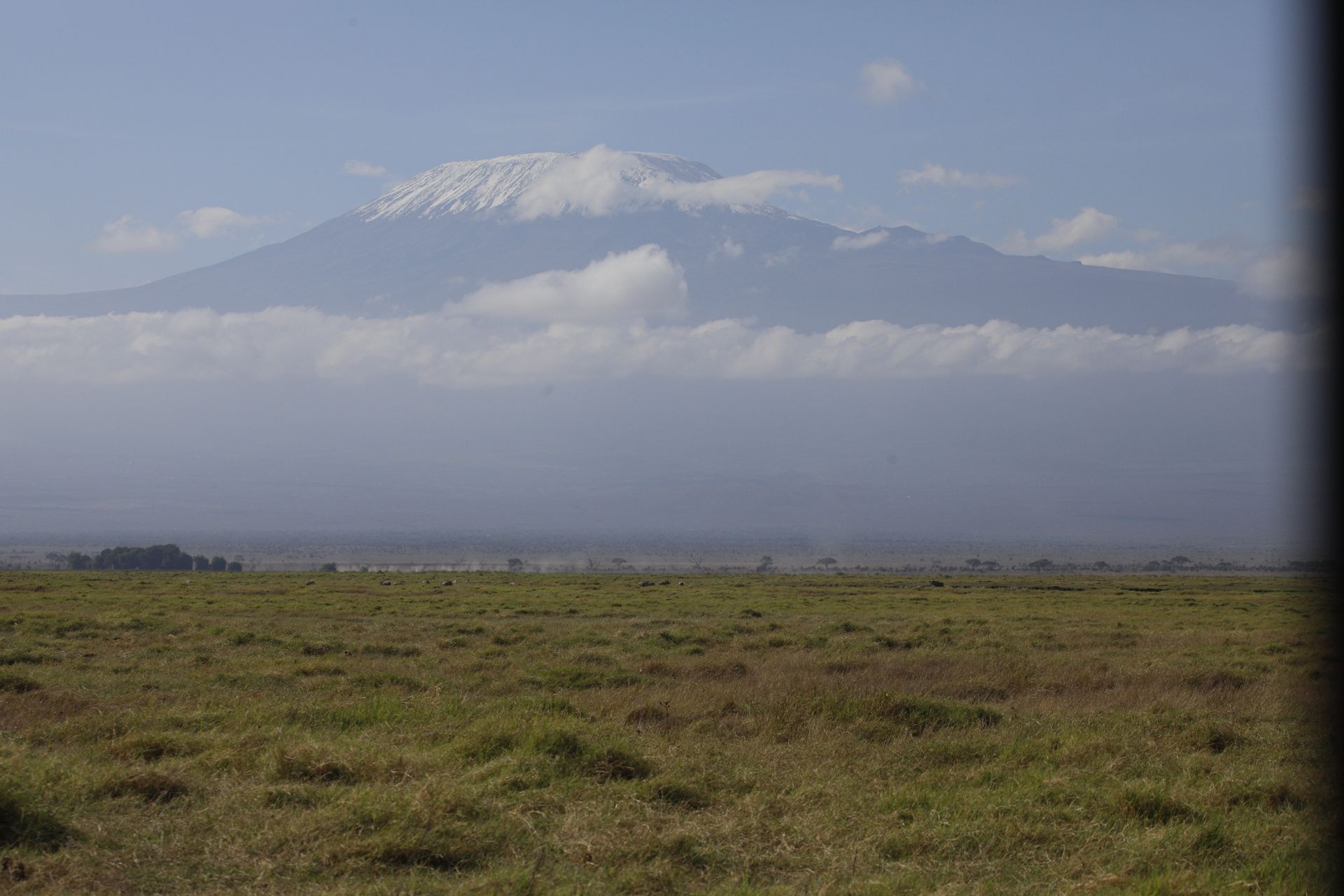 Full Day Game Drive – Amboseli National Park, Кения, авторский тур