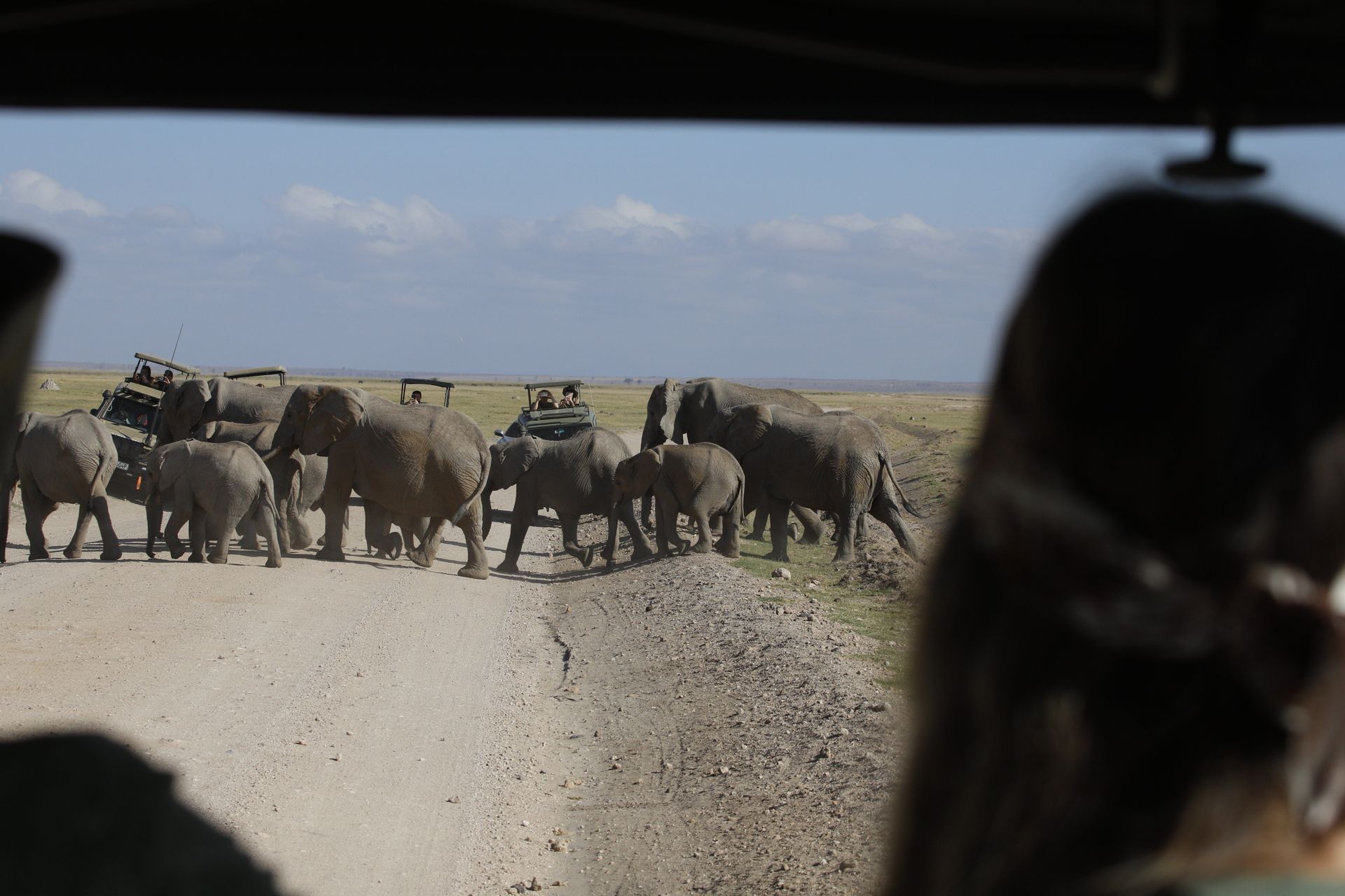 Amboseli –Nairobi Airport drop off, Кения, авторский тур