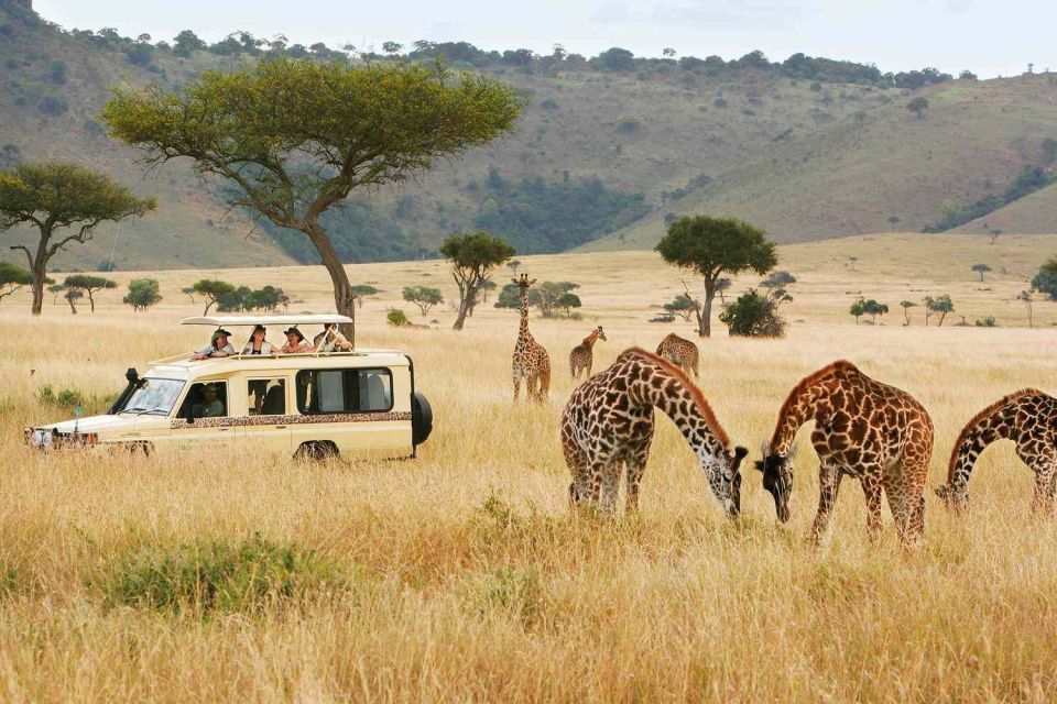 Nairobi to Masai Mara National Reserve, Кения, авторский тур Nairobi to Masai Mara National Reserve, Кения, авторский тур