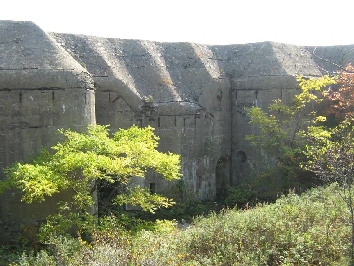 Ключевые виды Приморский край, Приморский край, авторский тур