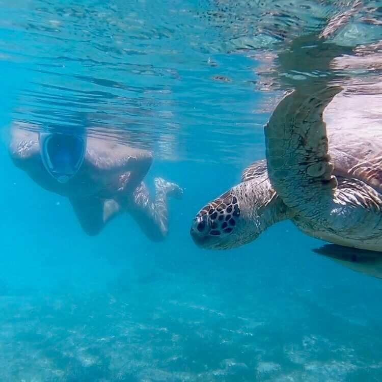 9 дней: expedition Kayaking, Snorkeling, and Local Cooking, Галапагосские острова, авторский тур