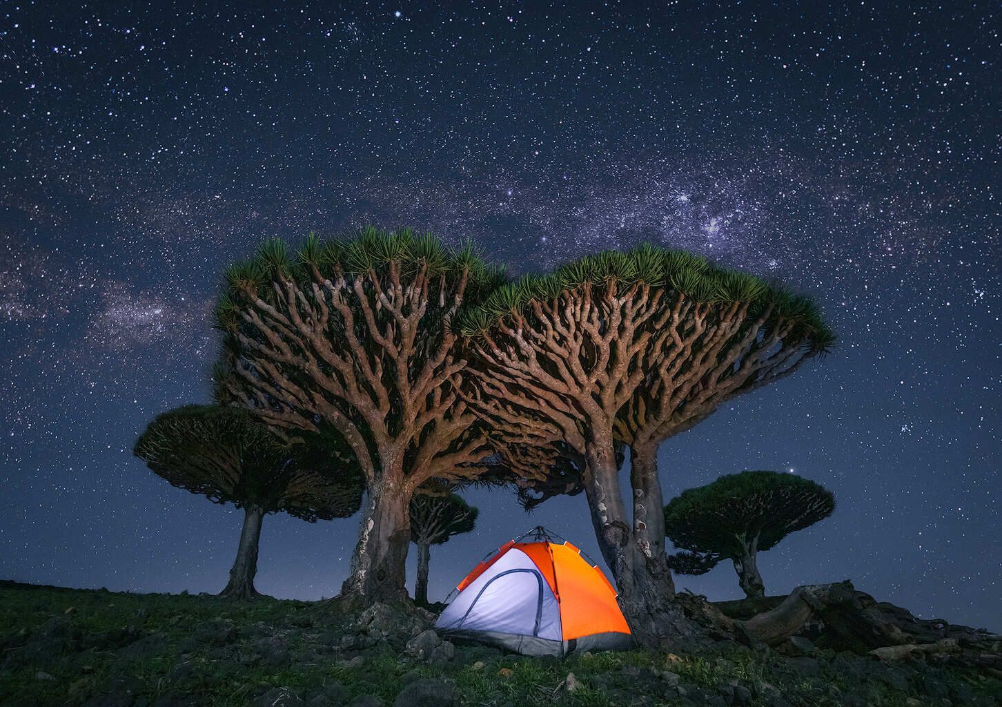 плато Homhile, каньон Wadi al Shiifa, Йемен, авторский тур