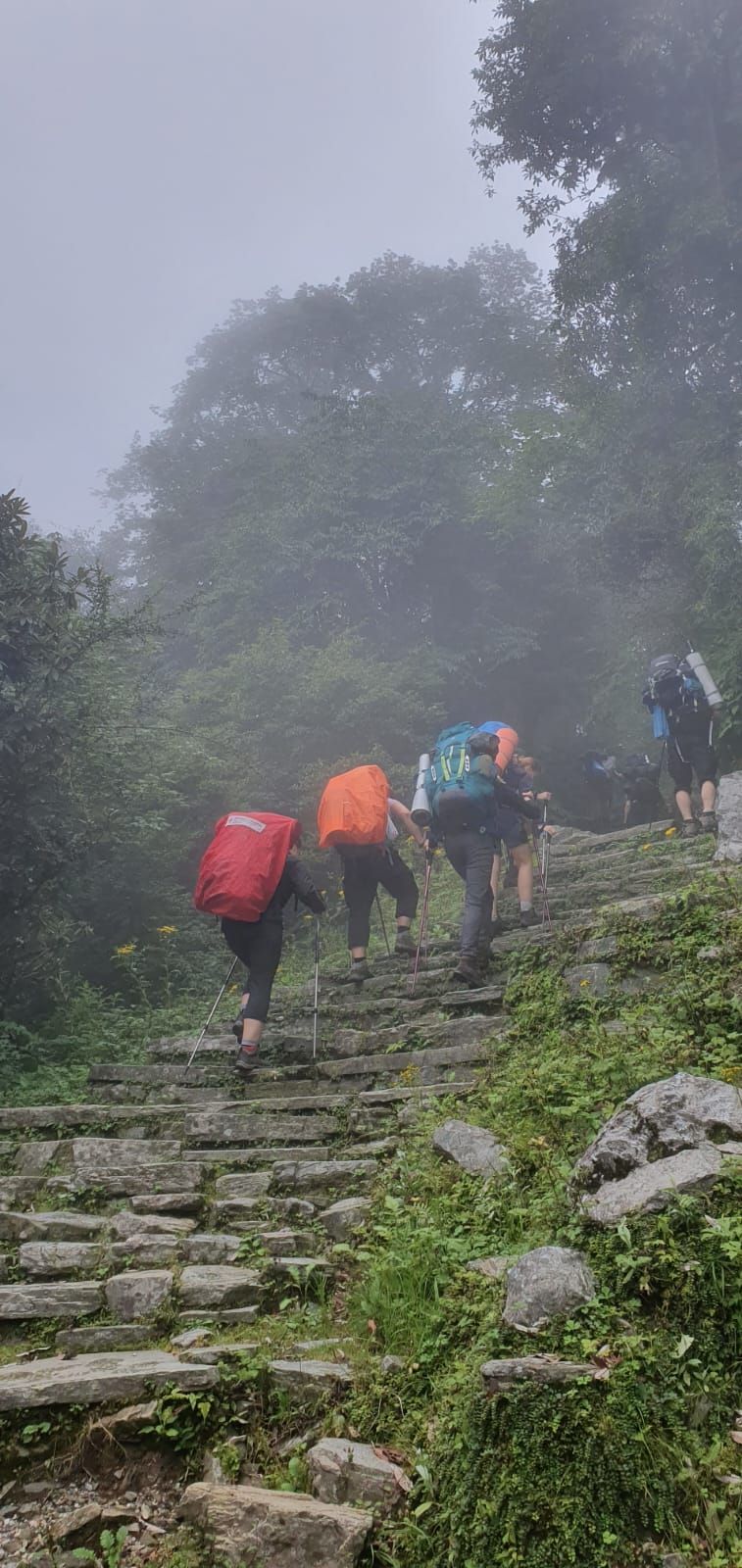 Ghandruk to Tadapani, Аннапурна, авторский тур
