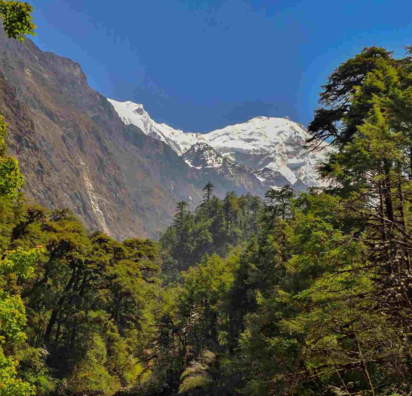 Langtang Village to Kyanjin Gompa Trek, Гималаи, авторский тур