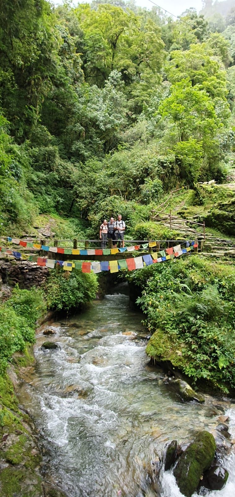 Тур аннапурну: tadapani - Ghandruk - Pokhara — кадр 2, авторский тур Тур аннапурну: tadapani - Ghandruk - Pokhara — кадр 2, авторский тур