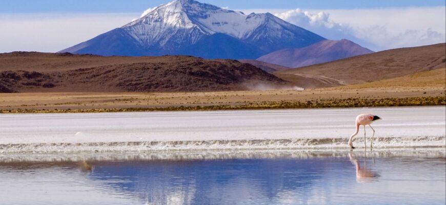 15 дней в Латинской Америке — авторский маршрут