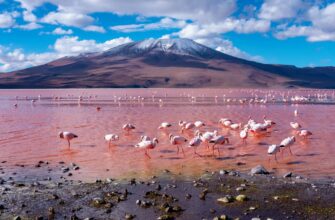 10 дней в Латинской Америке — авторский маршрут 10 дней в Латинской Америке — авторский маршрут